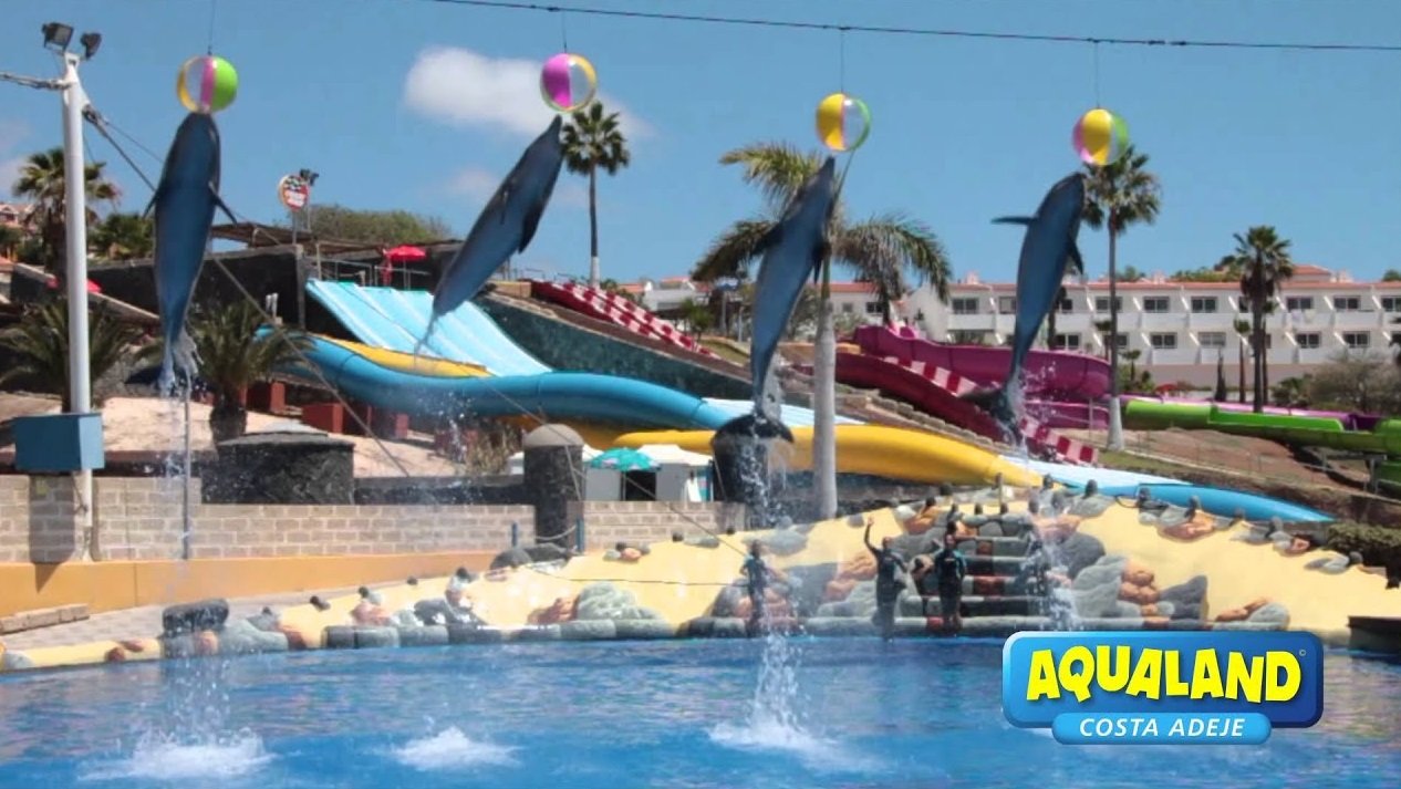 Aqualand Dolphin Show