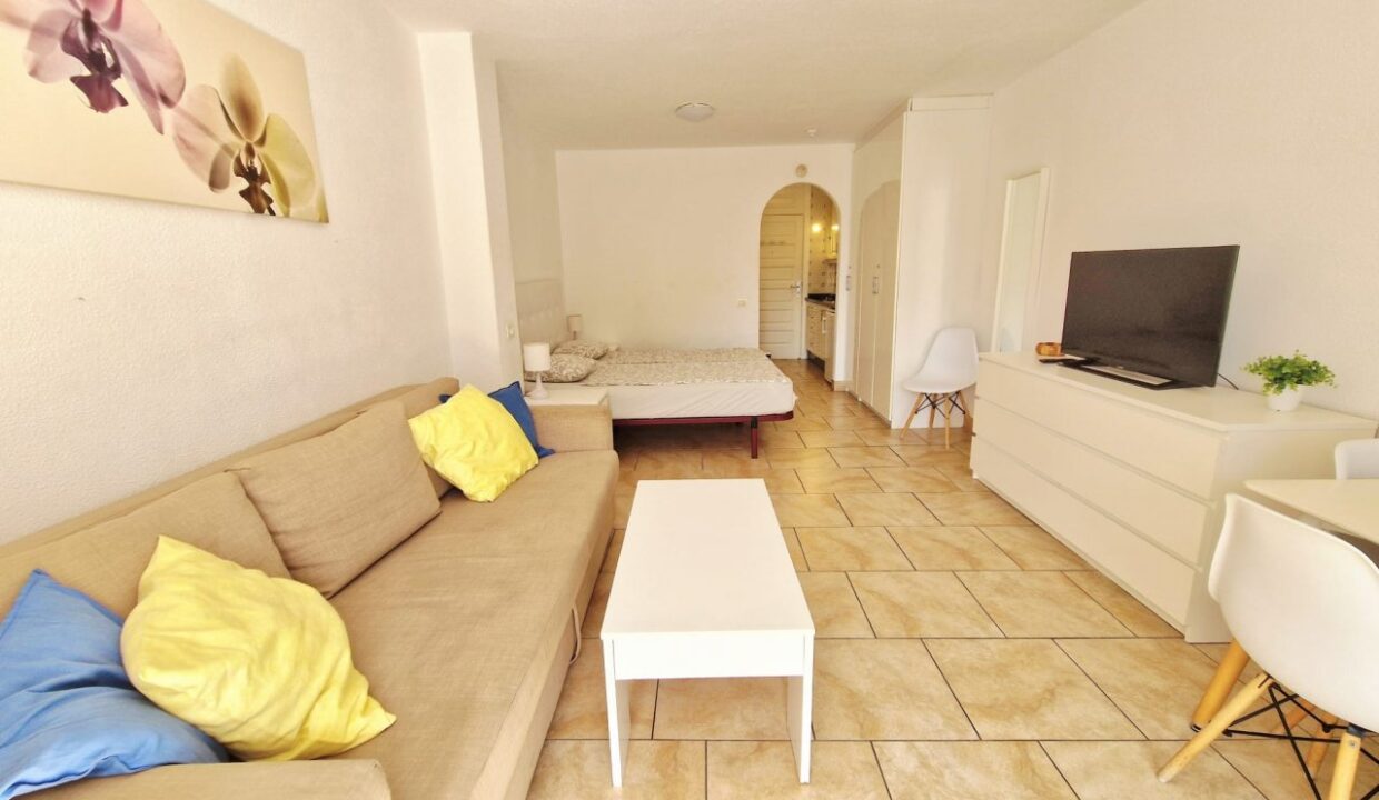 StudioApartmentinParqueSantiago36_0