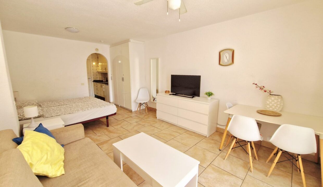 StudioApartmentinParqueSantiago38_0