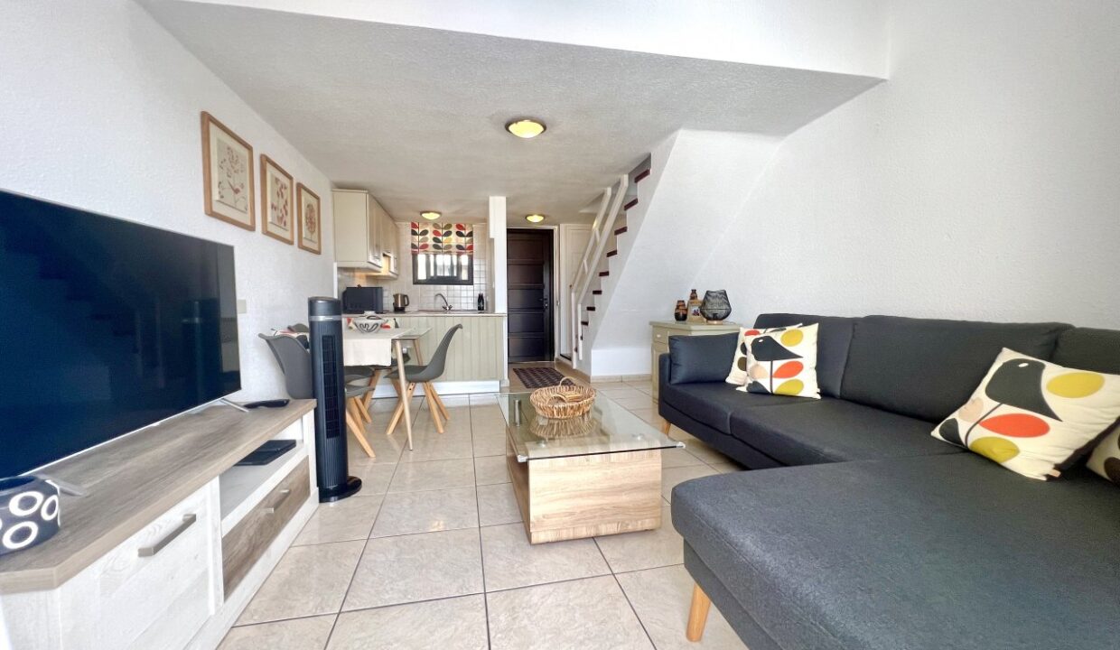 apartment-parque-santiago-2-playa-de-las-americas10